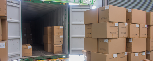 Mini Warehouse Storage Solutions with Shipping Containers